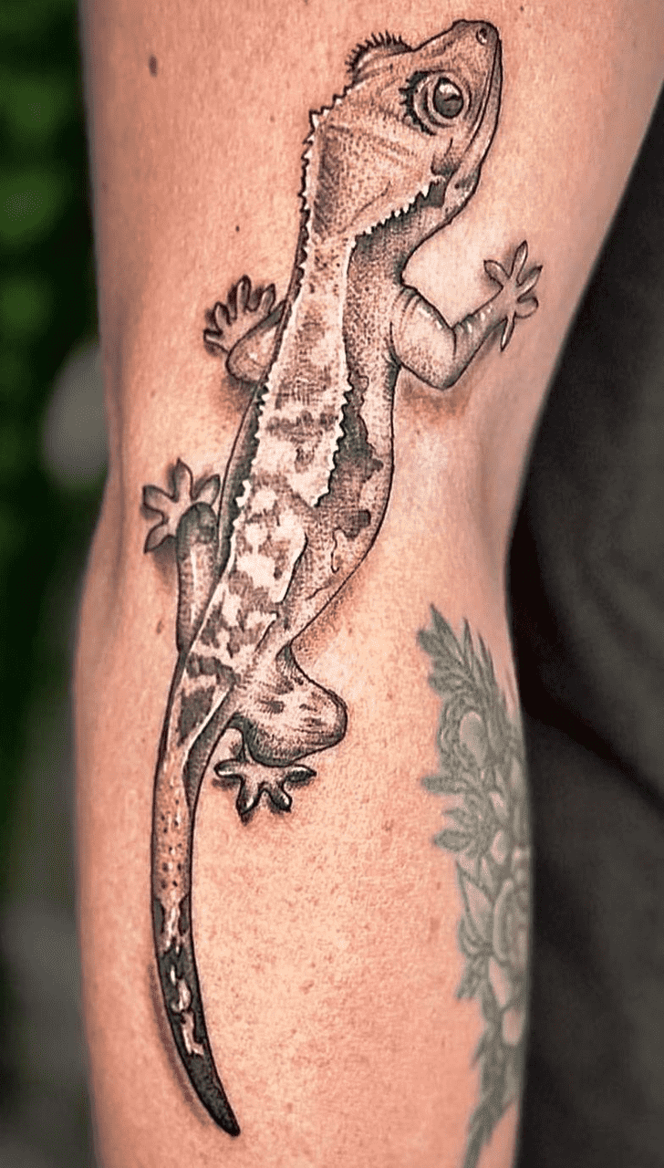 Gecko Tattoo Photograph