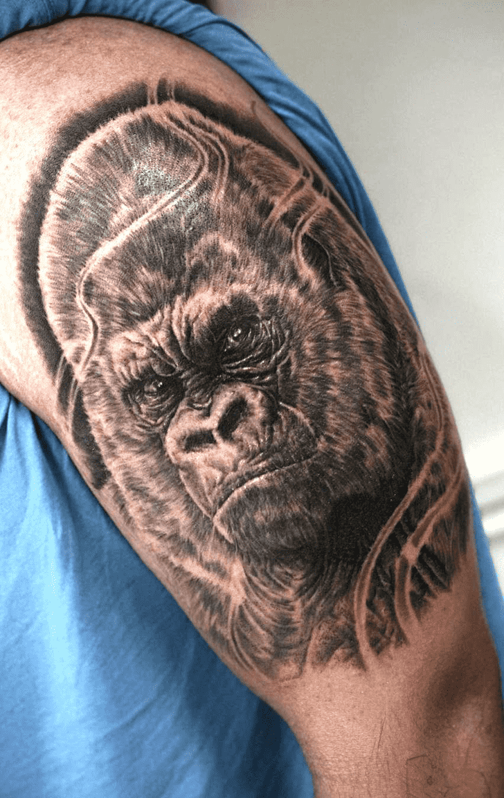 Gorilla Tattoo Shot