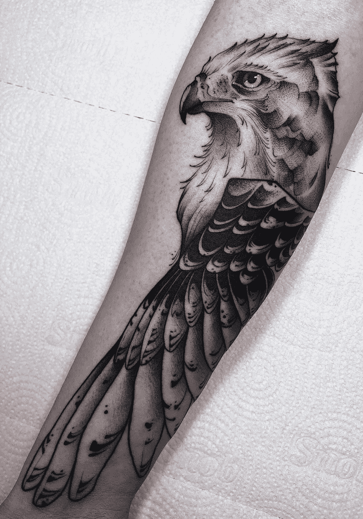 Hawk Tattoo Design Image