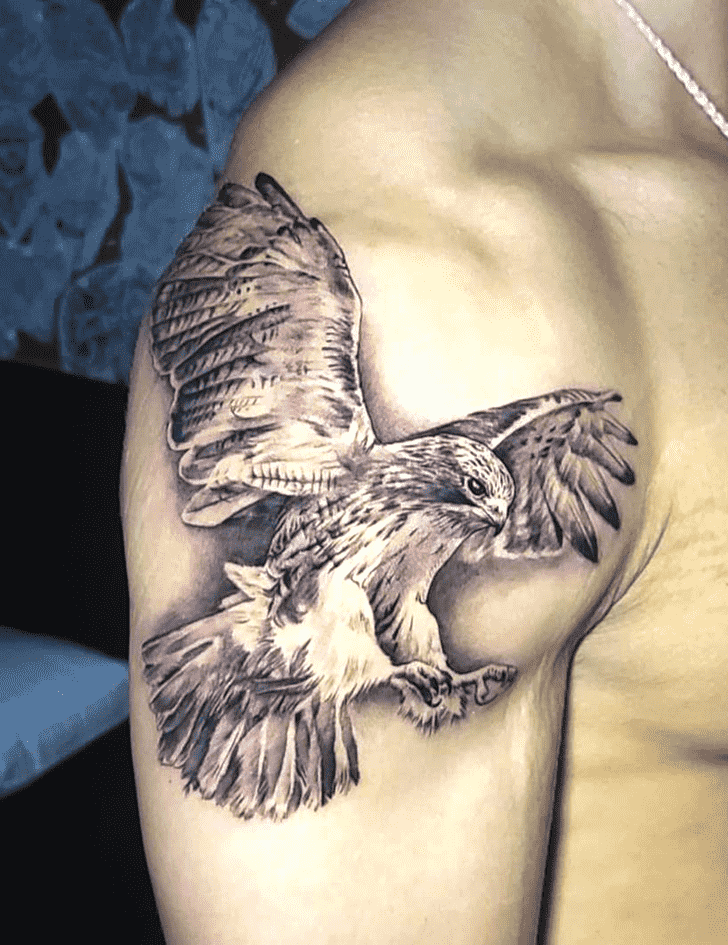 Hawk Tattoo Snapshot