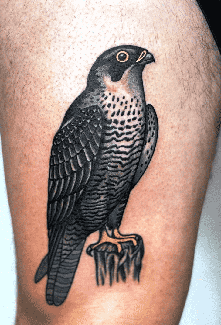 Hawk Tattoo Photo