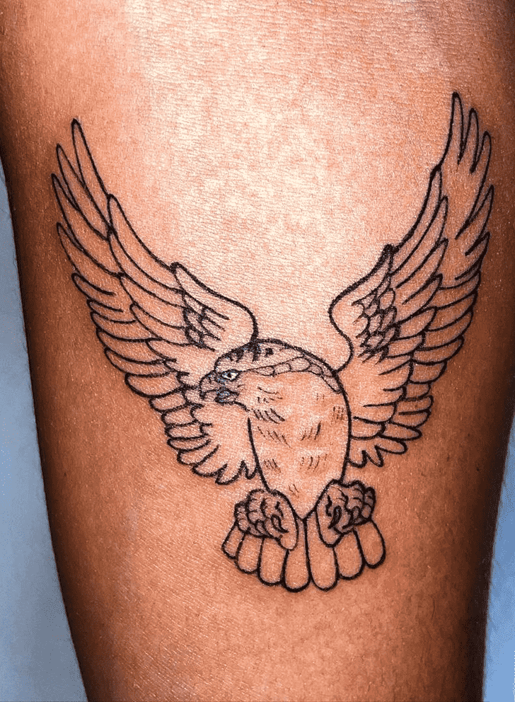 Hawk Tattoo Photos