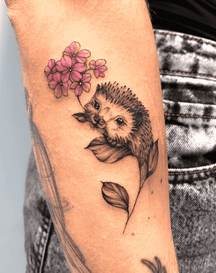 Hedgehog Tattoo Photo