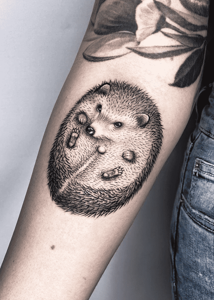 Hedgehog Tattoo Photos