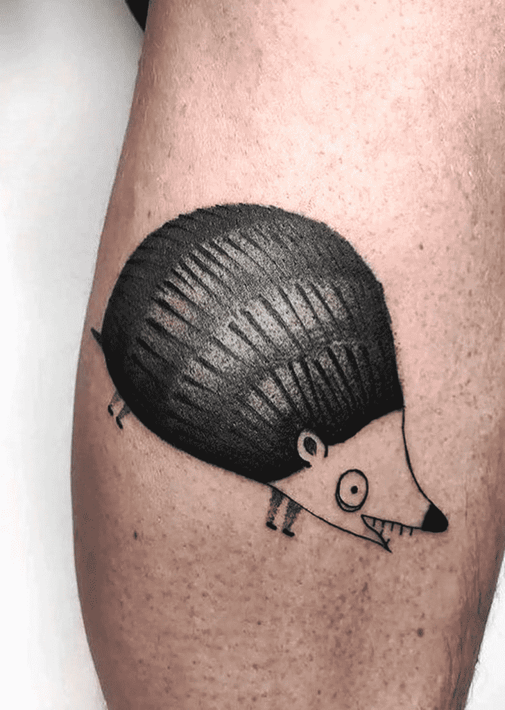 Hedgehog Tattoo Picture