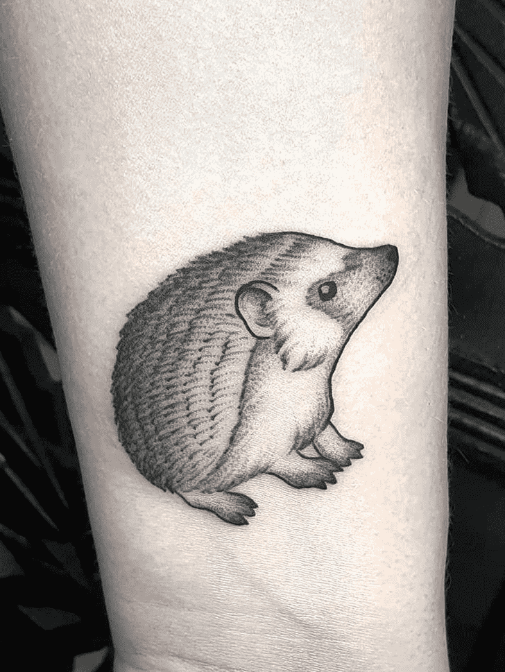 Hedgehog Tattoo Ink