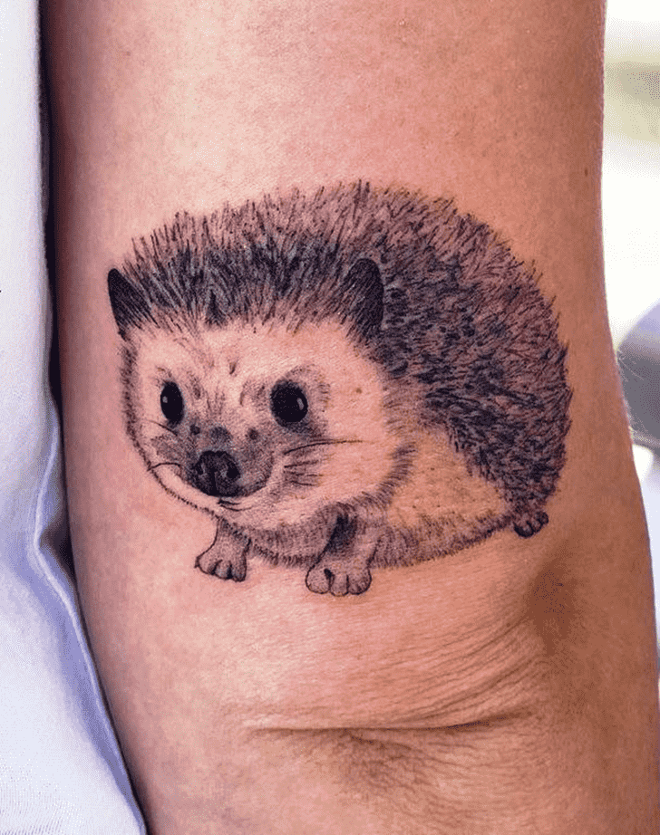 Hedgehog Tattoo Photo
