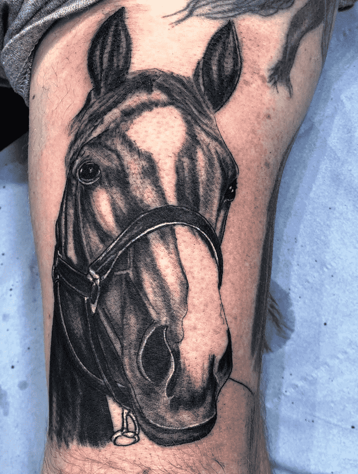 Horse Tattoo Picture