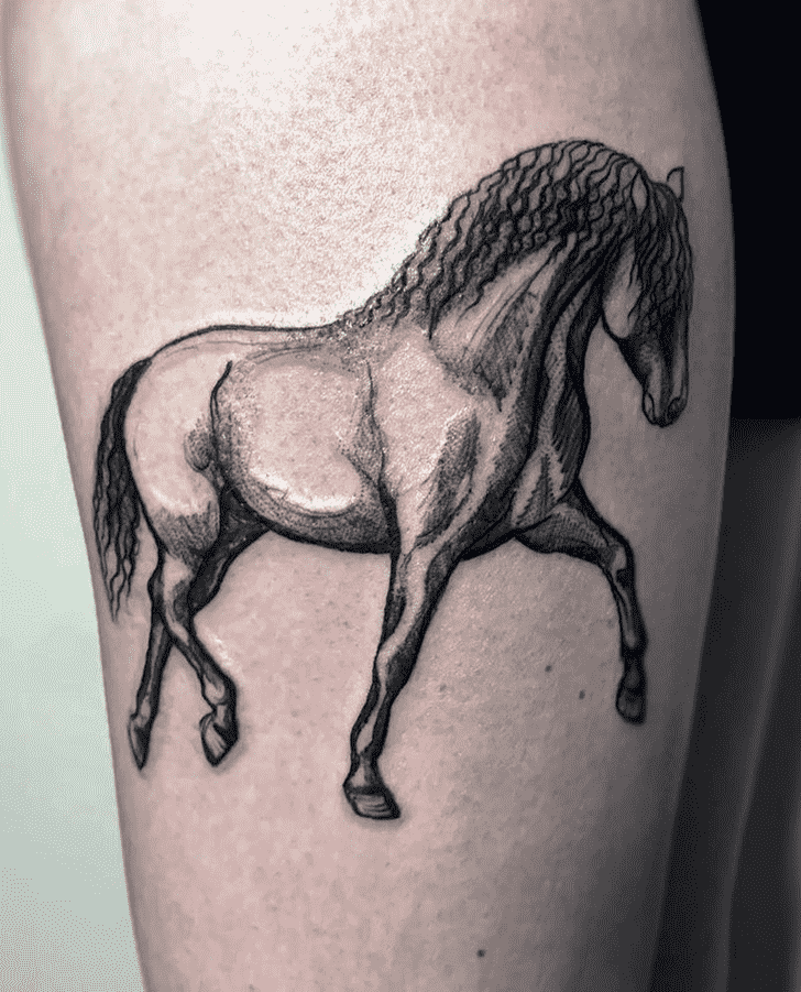 Horse Tattoo Photograph