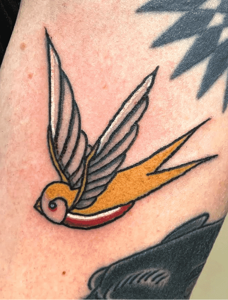 House Sparrow Tattoo Photos
