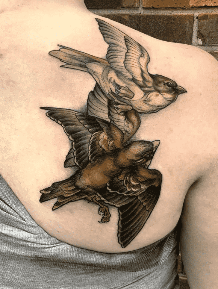 House Sparrow Tattoo Photos