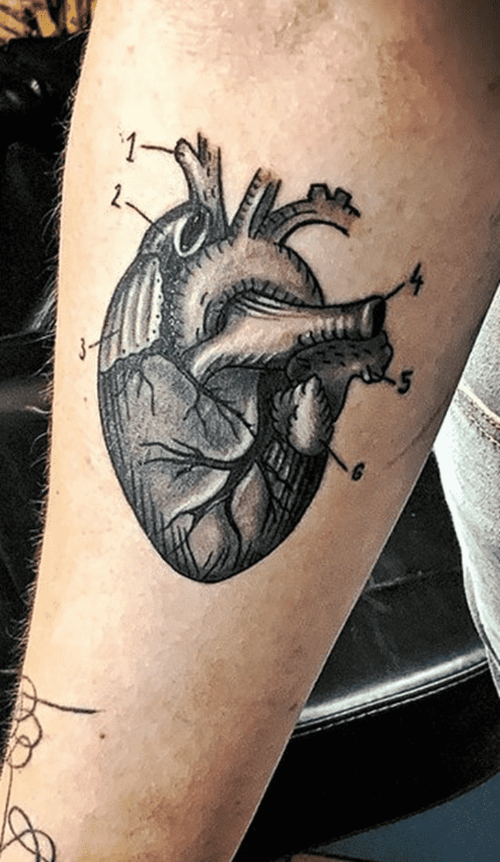 Human Heart Tattoo Photos