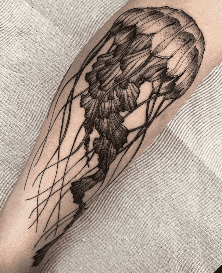 Jellyfish Tattoo Photograph