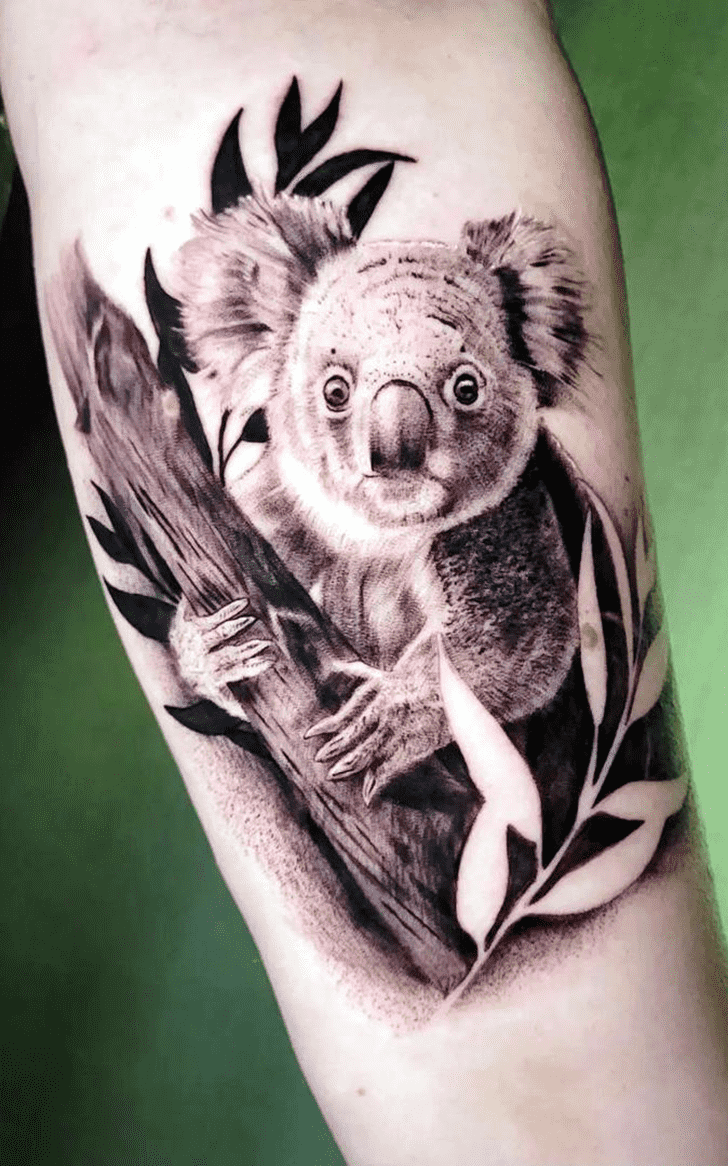 Koala Tattoo Picture
