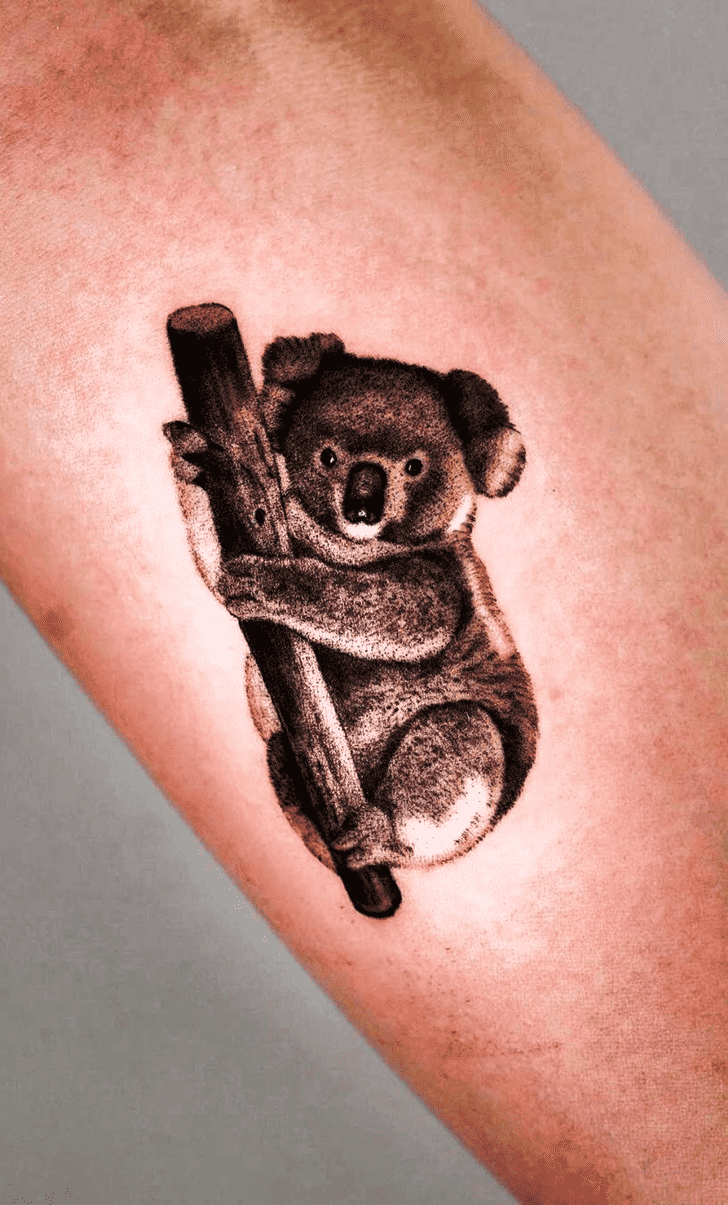 Koala Tattoo Photo