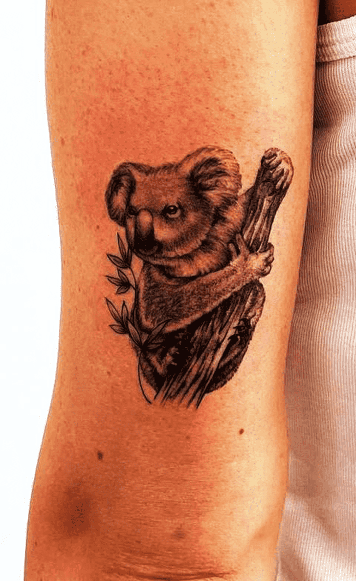 Koala Tattoo Photos