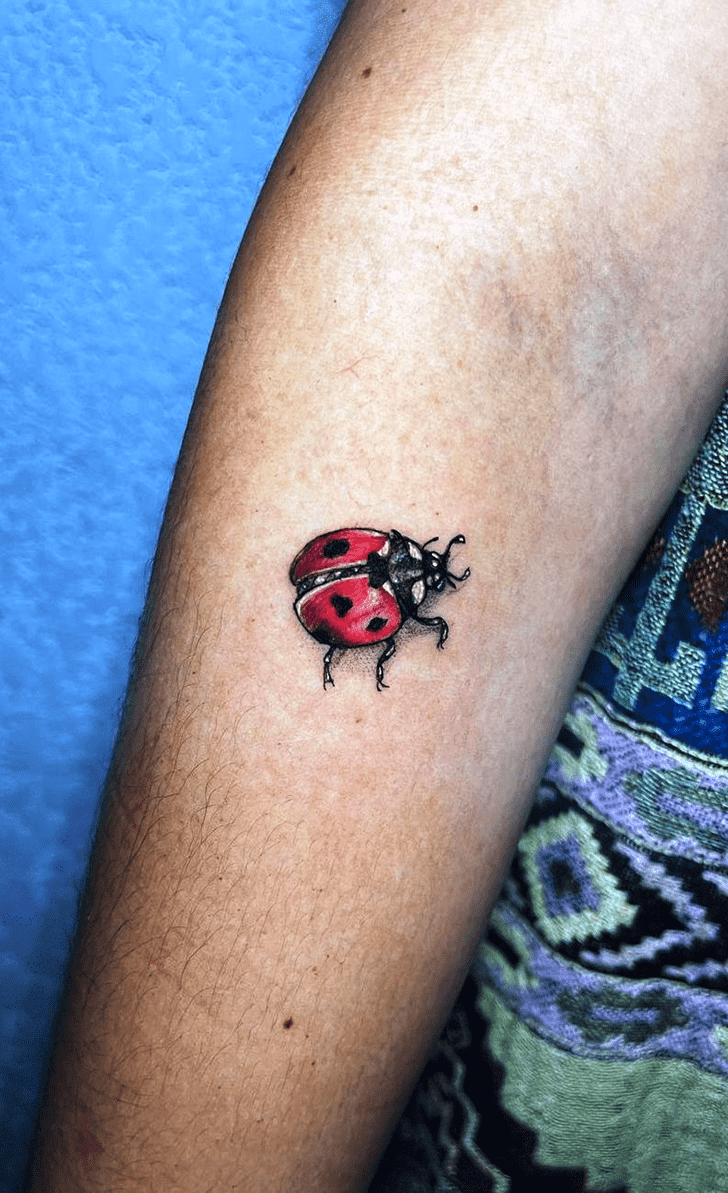 Ladybugs Tattoo Design Image