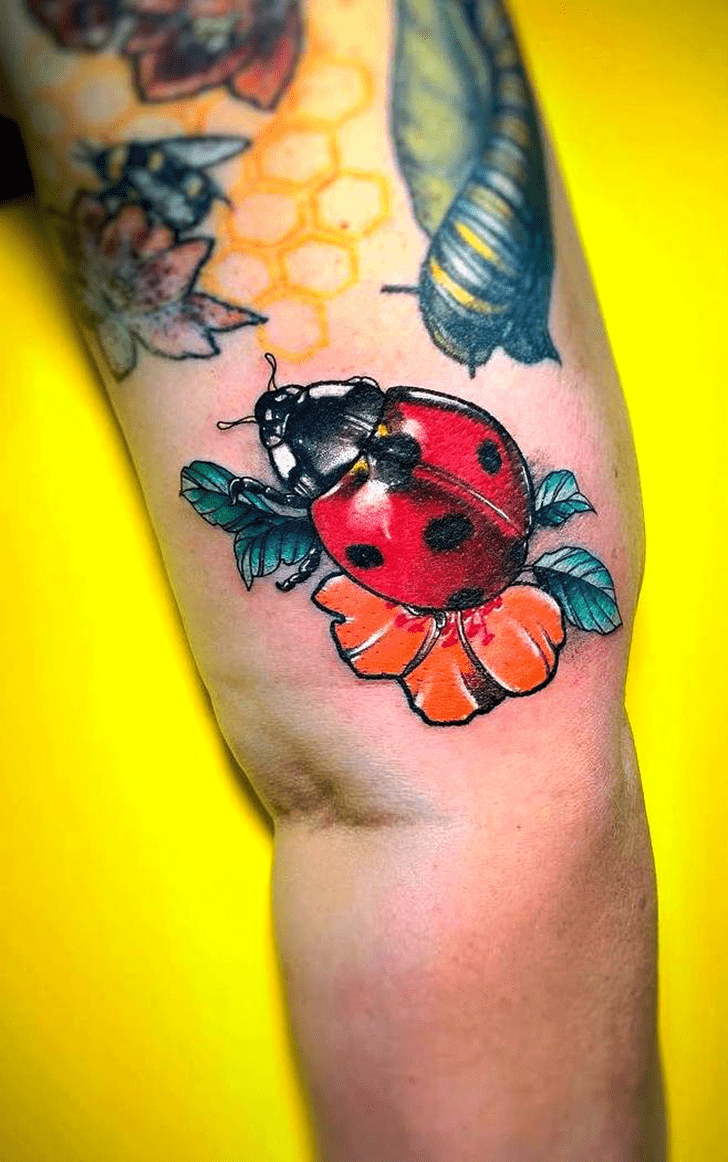 Ladybugs Tattoo Picture