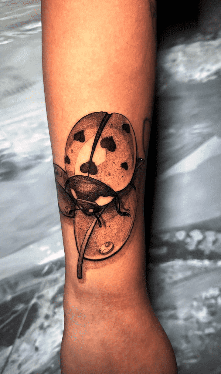 Ladybugs Tattoo Figure