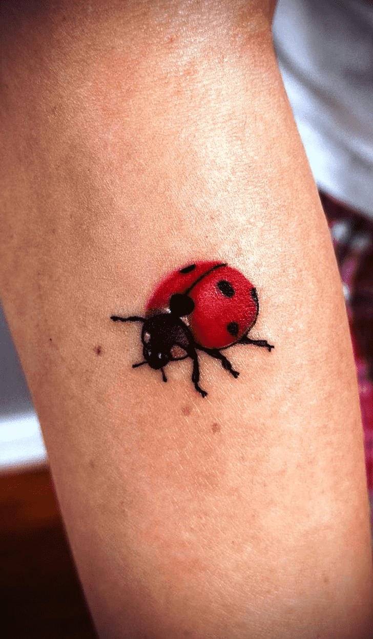 Ladybugs Tattoo Design Image
