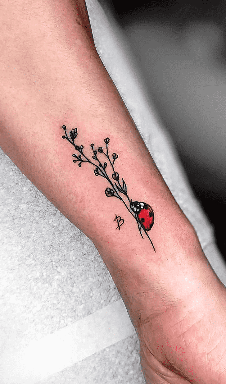 Ladybugs Tattoo Photo