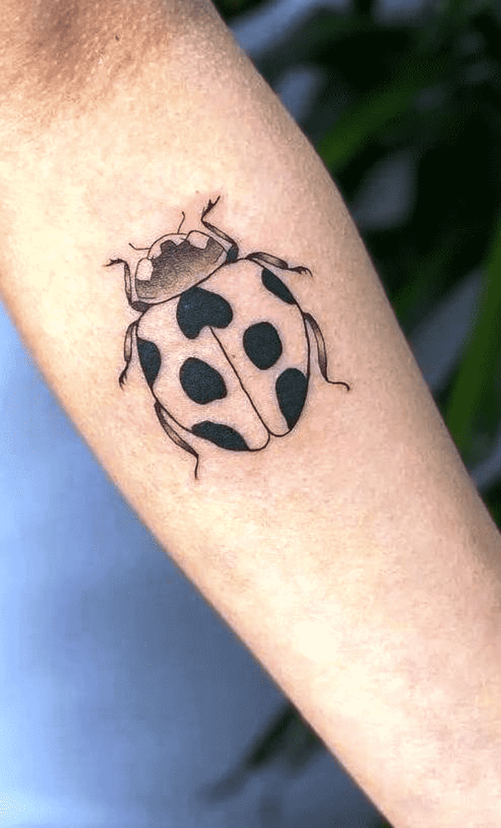 Ladybugs Tattoo Shot