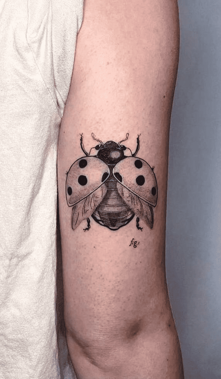 Ladybugs Tattoo Photos