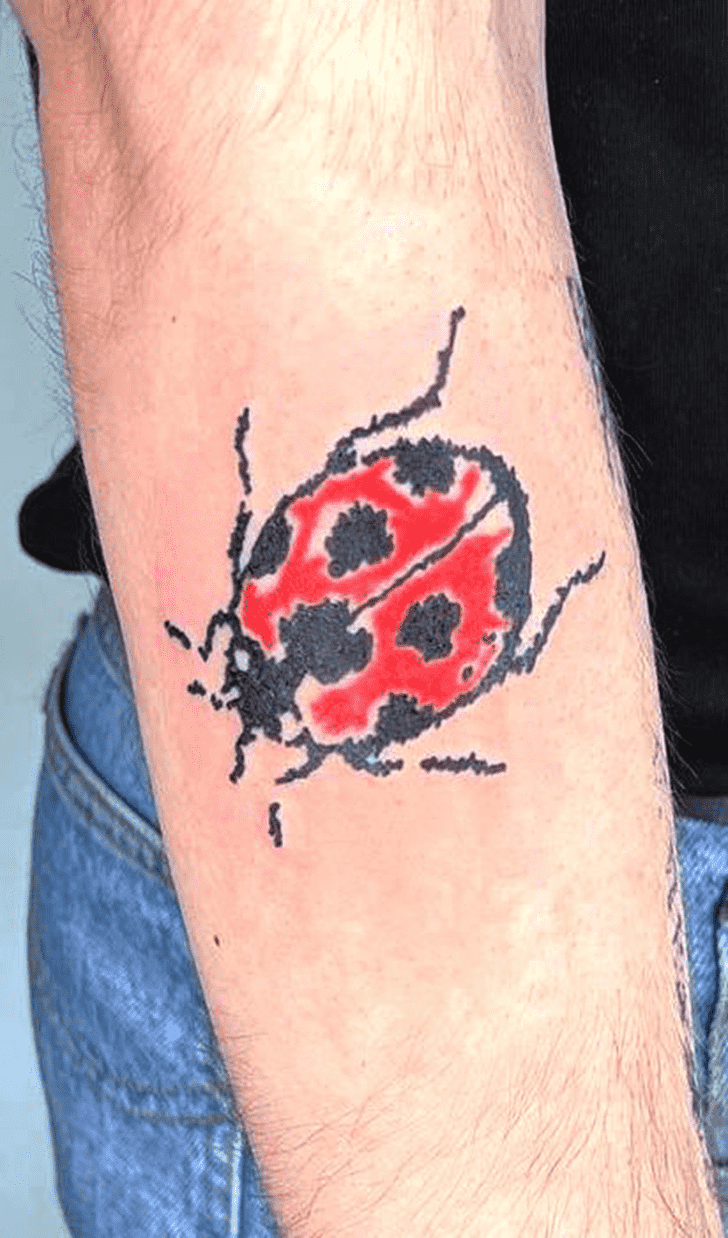 Ladybugs Tattoo Snapshot