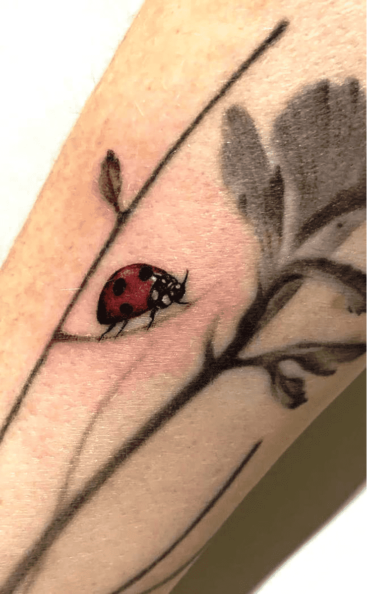 Ladybugs Tattoo Photograph