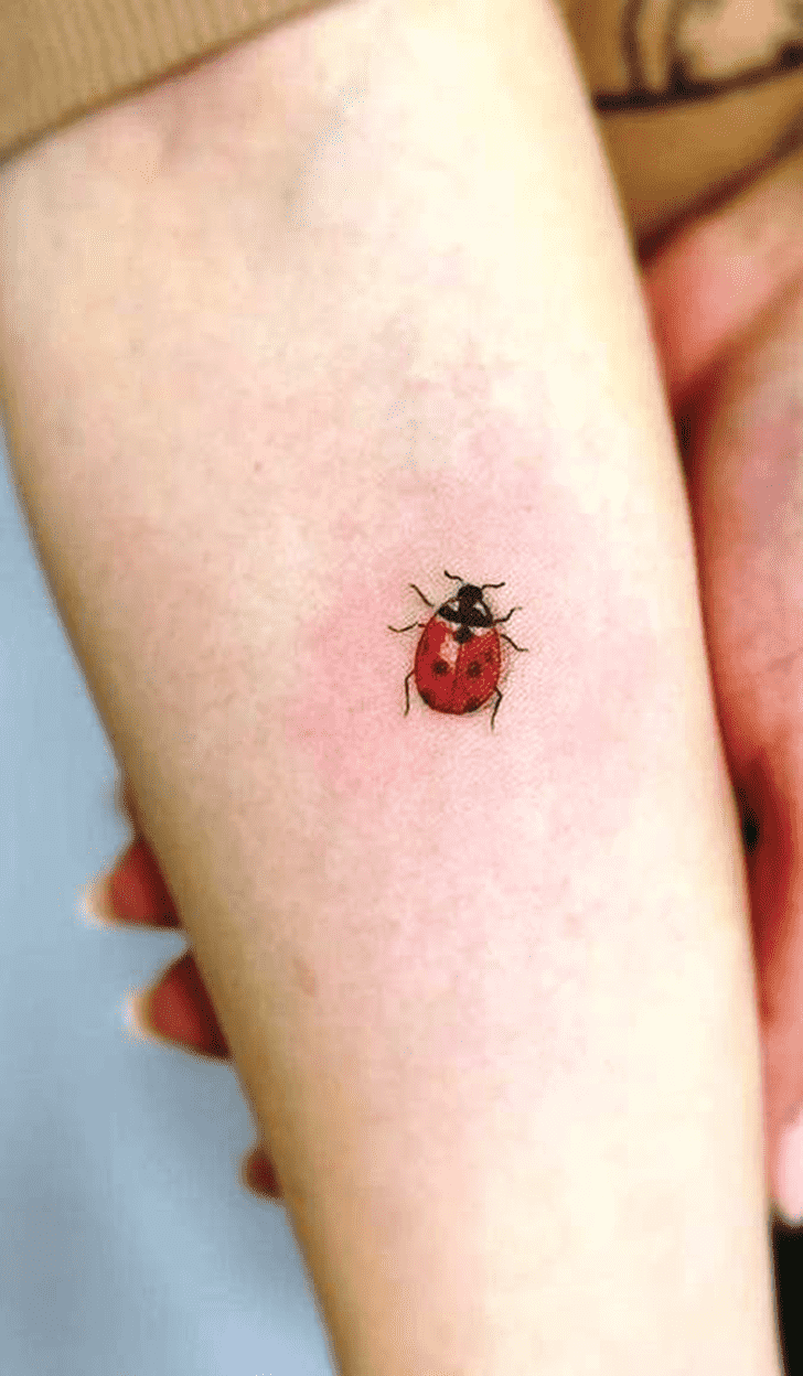 Ladybugs Tattoo Snapshot