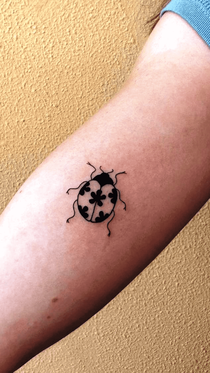 Ladybugs Tattoo Photos