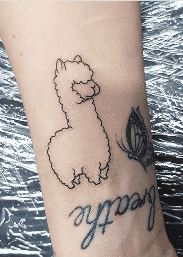 Llama Tattoo Picture