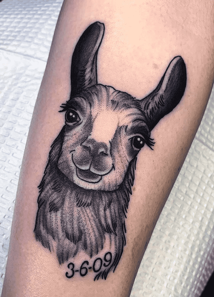 Llama Tattoo Photograph
