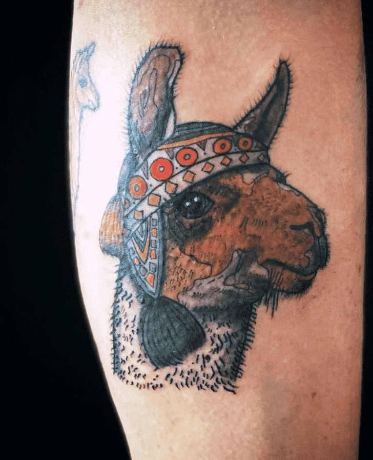 Llama Tattoo Shot
