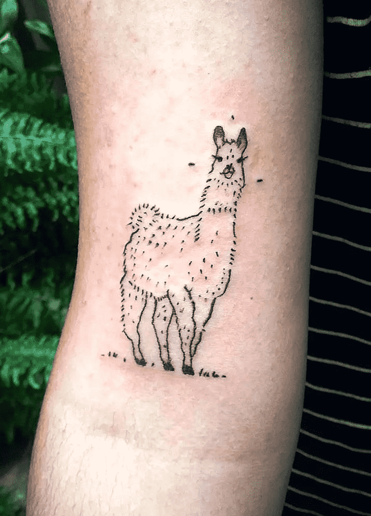 Llama Tattoo Photograph