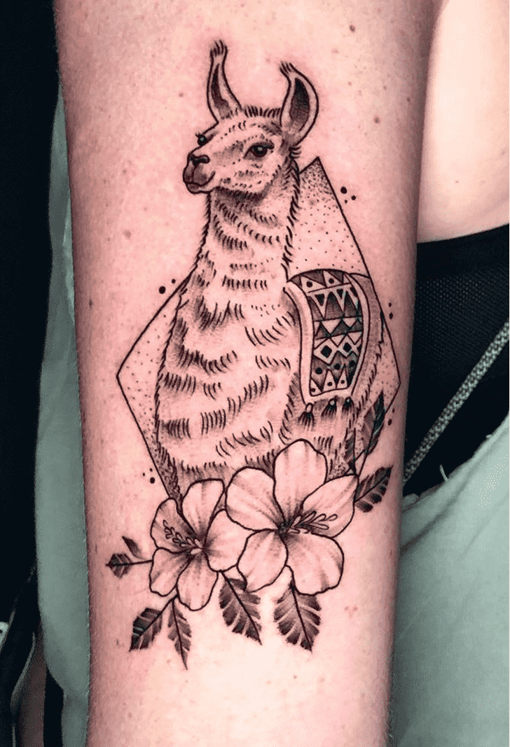 Llama Tattoo Photos