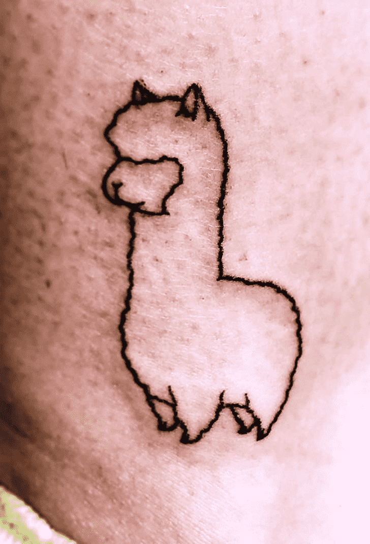Llama Tattoo Snapshot