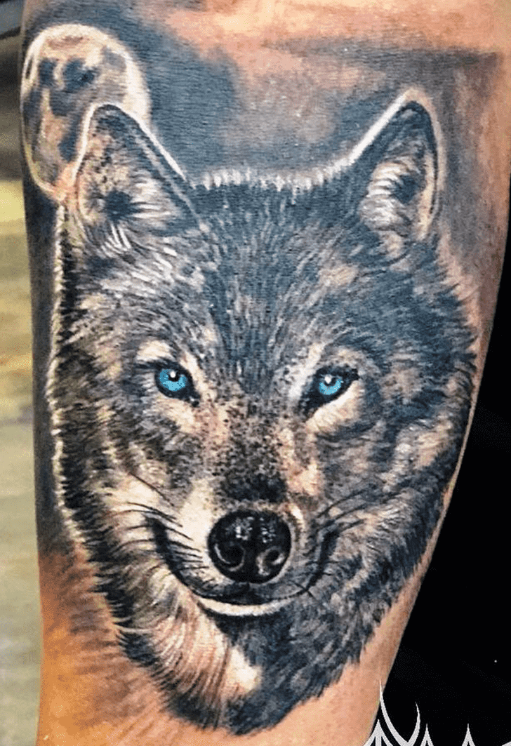 Lone Wolf Tattoo Photo