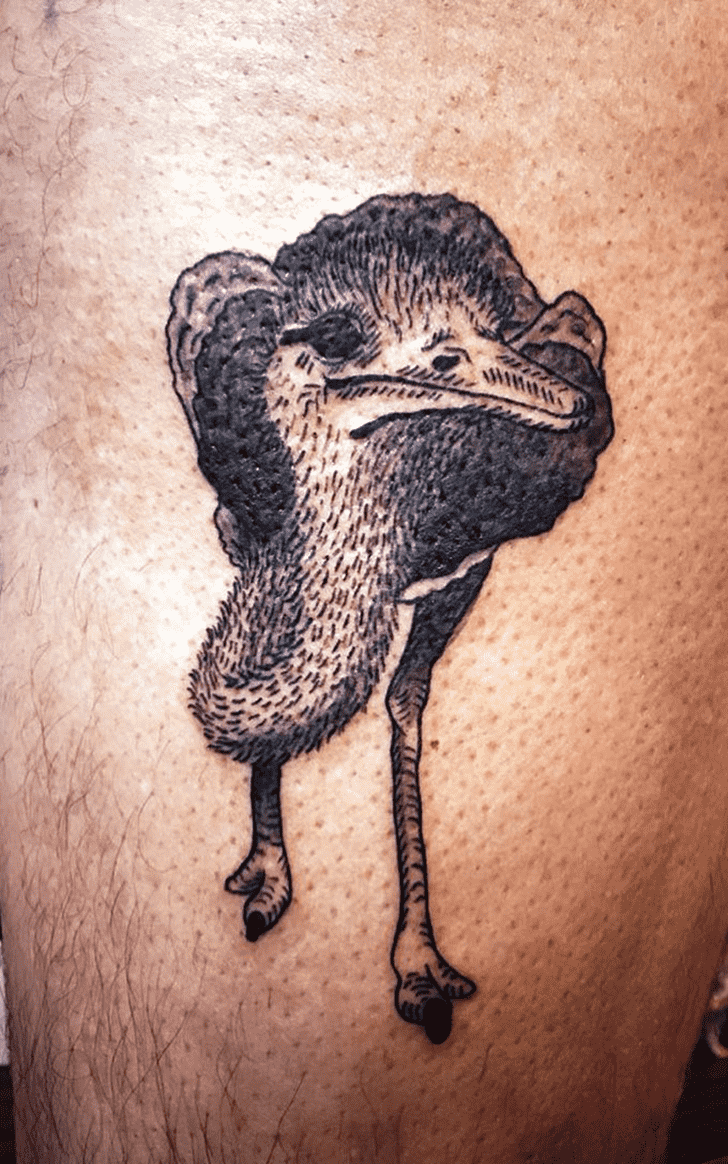 Ostrich Tattoo Photo