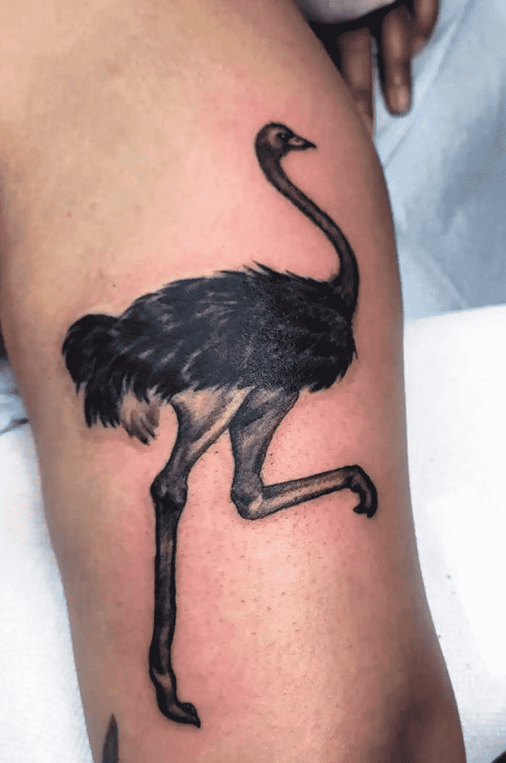 Ostrich Tattoo Photos