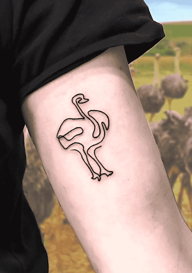 Ostrich Tattoo Picture
