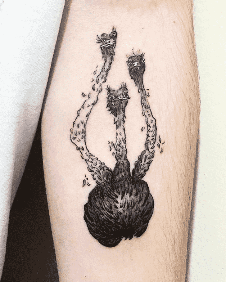 Ostrich Tattoo Photo