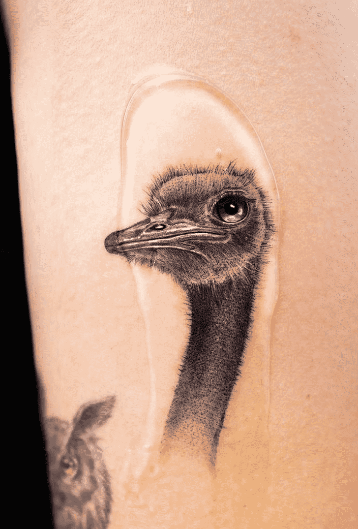 Ostrich Tattoo Photograph