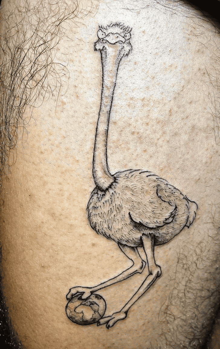 Ostrich Tattoo Portrait