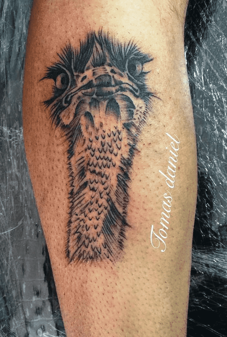 Ostrich Tattoo Picture