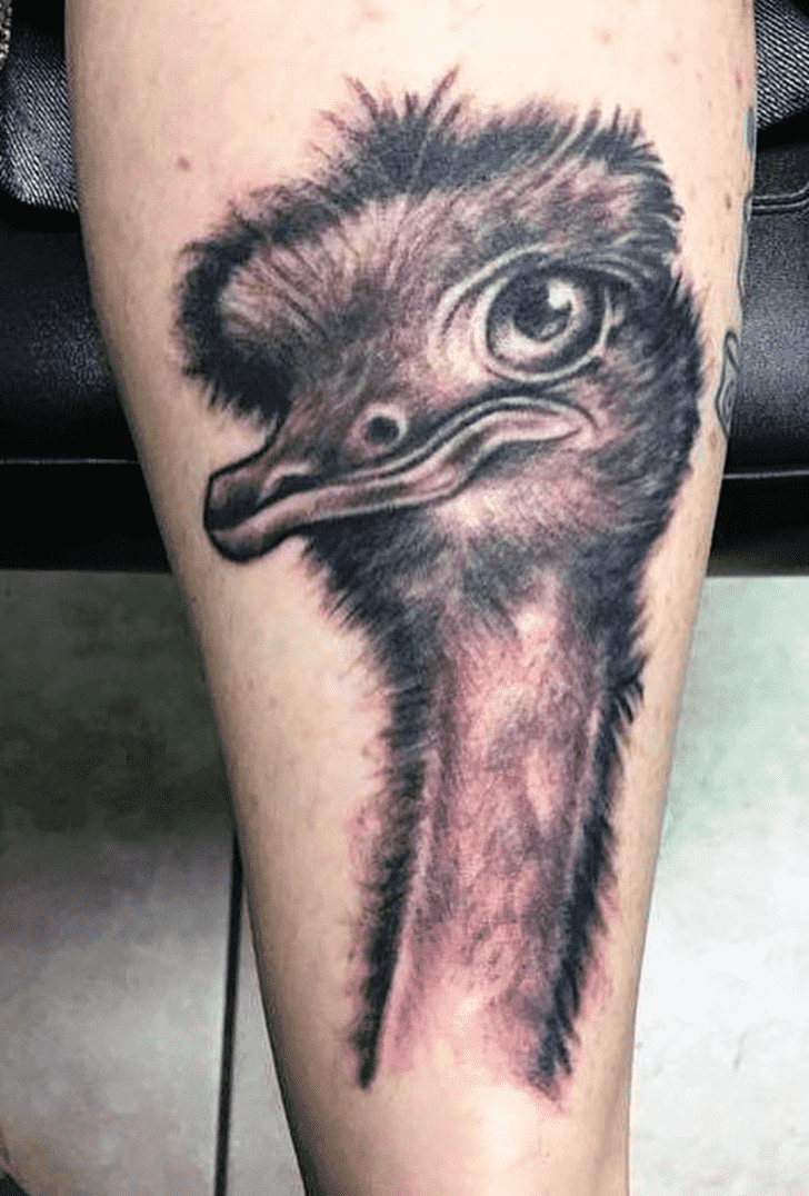 Ostrich Tattoo Photograph
