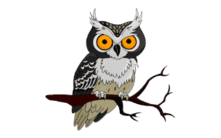 Owl Tattoo Ideas