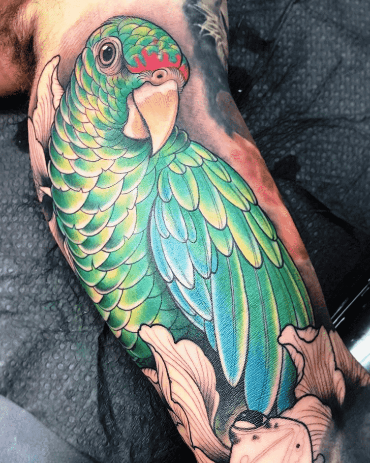 Parrot Tattoo Shot