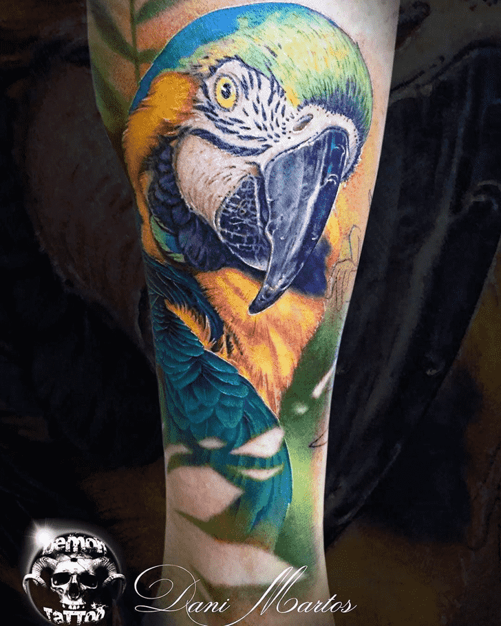 Parrot Tattoo Photo