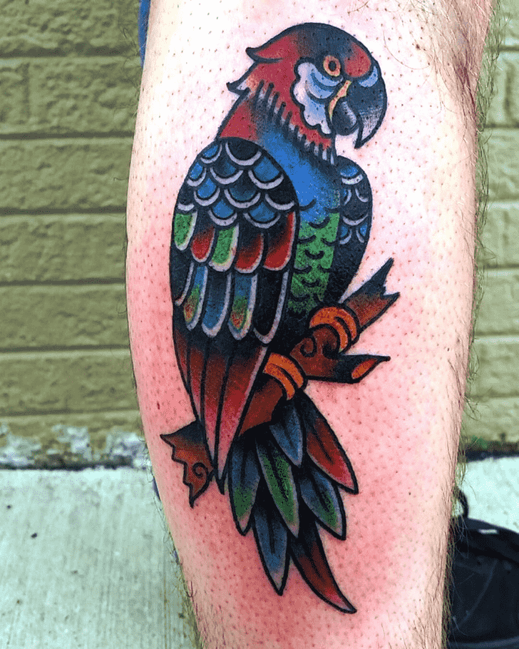 Parrot Tattoo Shot